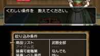 Dragon Quest 3DS App Screenshot 2