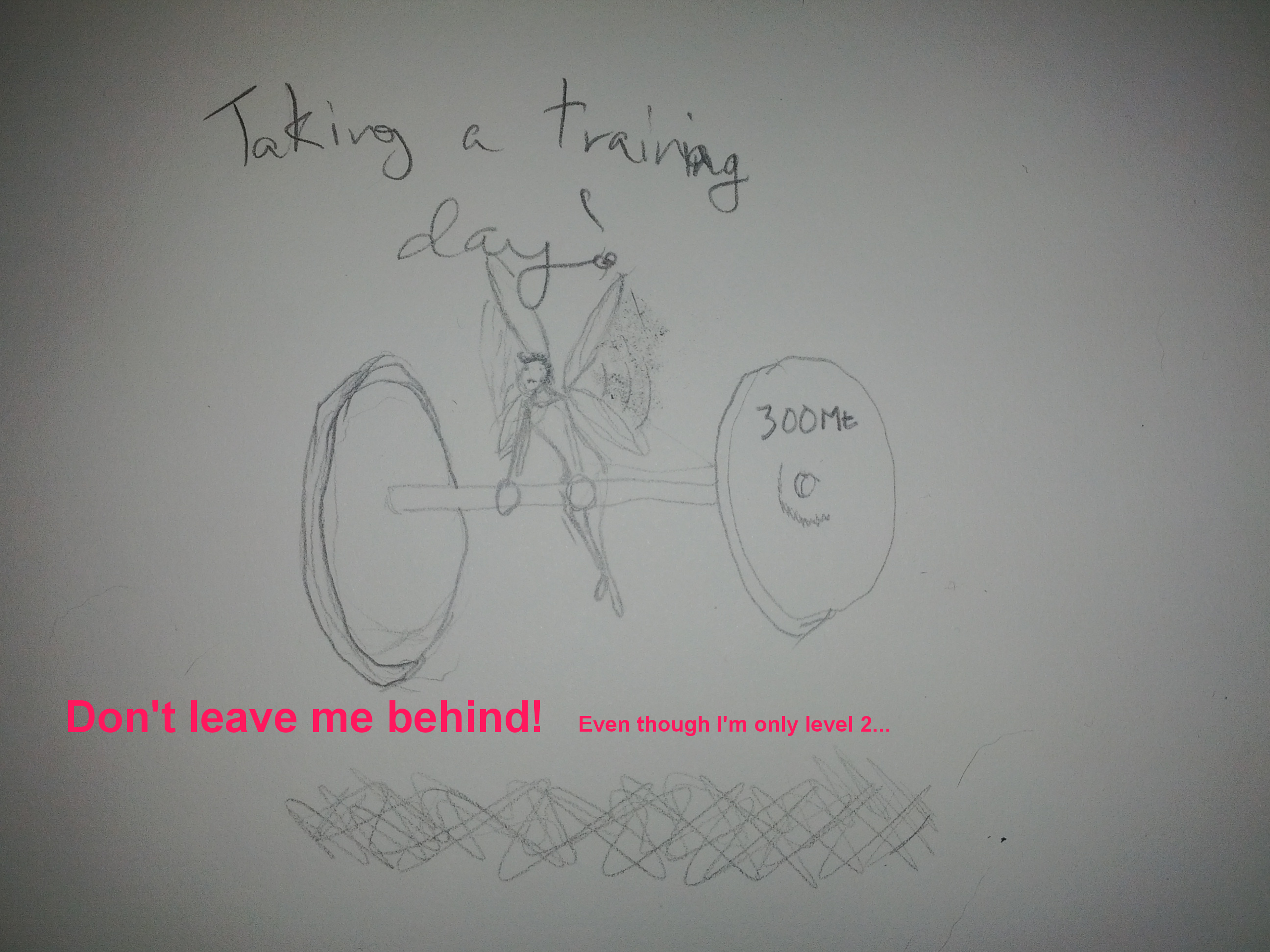 SMT_Pixie_Lv2 Lv2 in drawing skill, that is