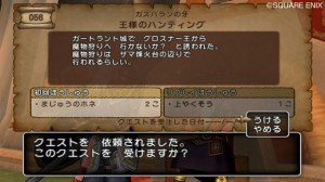 Dragon Quest X Screenshots - 14