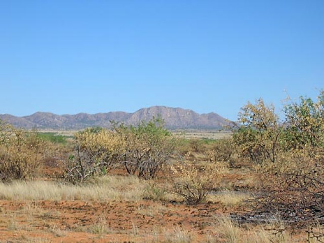 Picture of a Desert 2