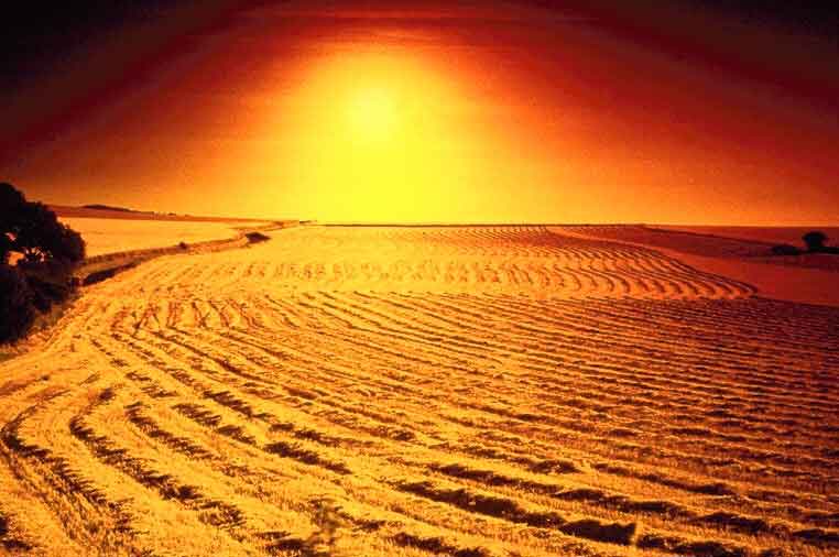 Picture of a desert