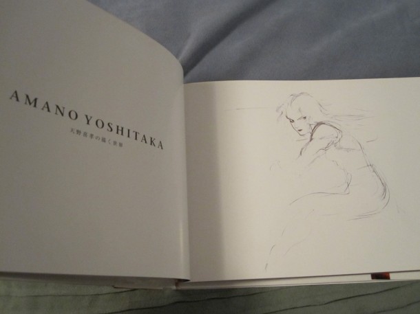 Final Fantasy IX Yoshitaka Amano