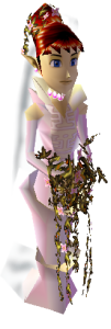 Anju in her wedding dress.