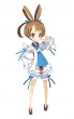 DD2 pic 9