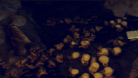 The Forest Brings an Open-World Dynamic to Survival Horror A first-person, open-world survival-horror game?